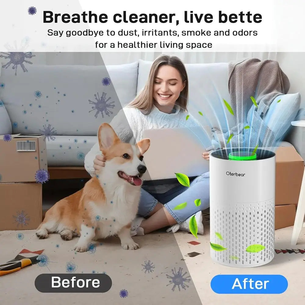 PureAir Sleep Oasis Purifier