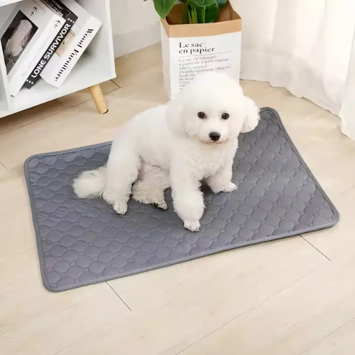 Waterproof Pet Training Mat